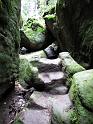 2010-06-12, Uttewalder Grund (37)